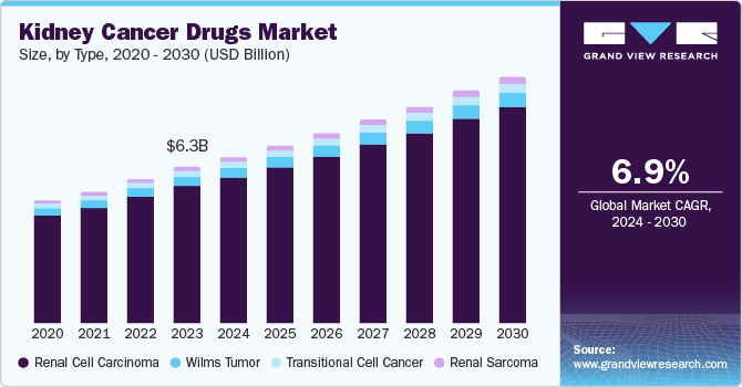 Kidney Cancer Drugs Market Size, by Type, 2020 - 2030 (USD Billion)