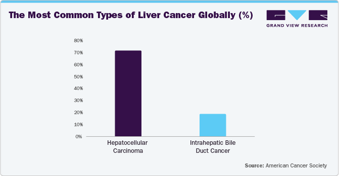 The Most Common Types of Liver Cancer Globally (%)