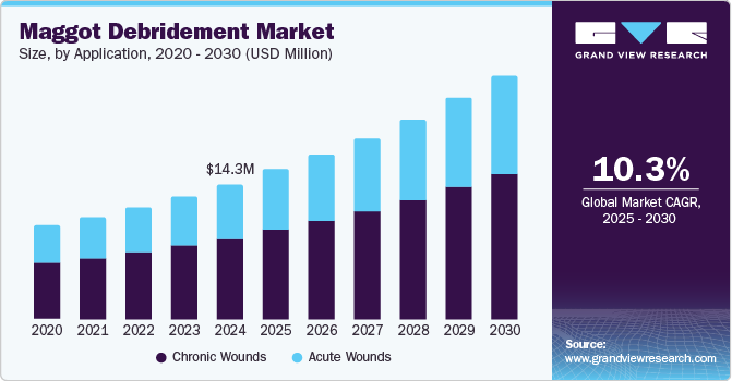 Maggot Debridement Market Size, by Application, 2020 - 2030 (USD Million)