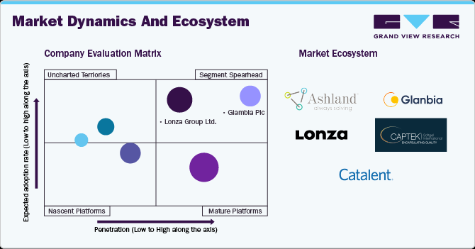 Market Dynamics and Ecosystem Market Dynamics and Ecosystem