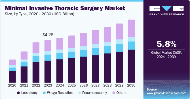 Minimal Invasive Thoracic Surgery Market Size, by Type, 2020 - 2030 (USD Billion)