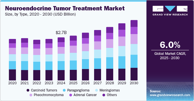 Neuroendocrine Tumor Treatment Market Size, by Type, 2020 - 2030 (USD Billion)