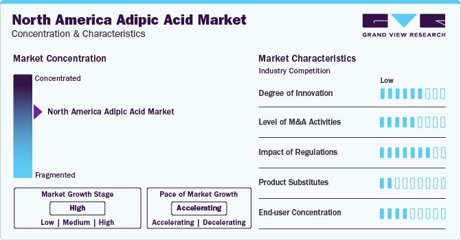 North America Adipic Acid Market Concentration & Characteristics