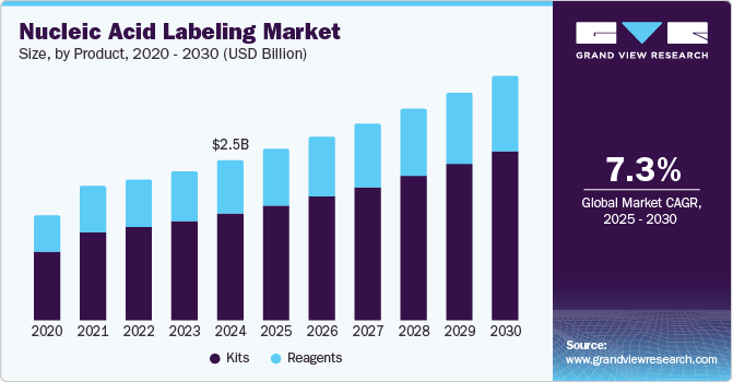 Nucleic Acid Labeling Market Size, by Product, 2020 - 2030 (USD Billion)