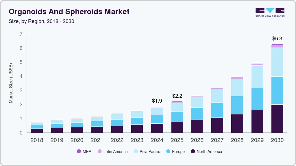Organoids and spheroids market size by region, and growth forecast (2025-2030) Organoids and spheroids market size by region, and growth forecast (2025-2030)