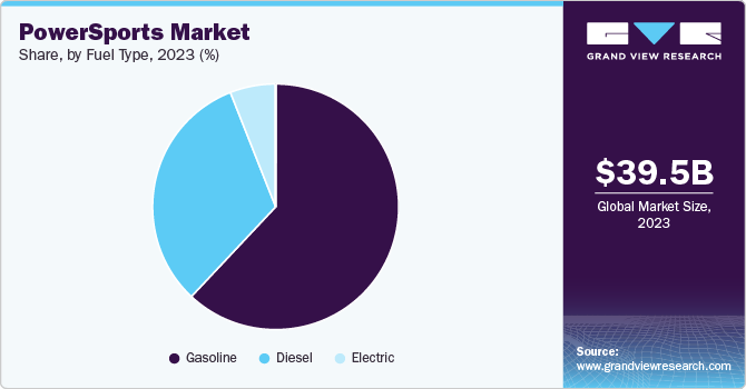 Power Sports Market Share, by Fuel Type, 2023 (%)