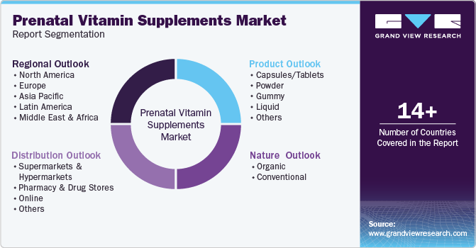 Prenatal Vitamin Supplements Market Report Segmentation