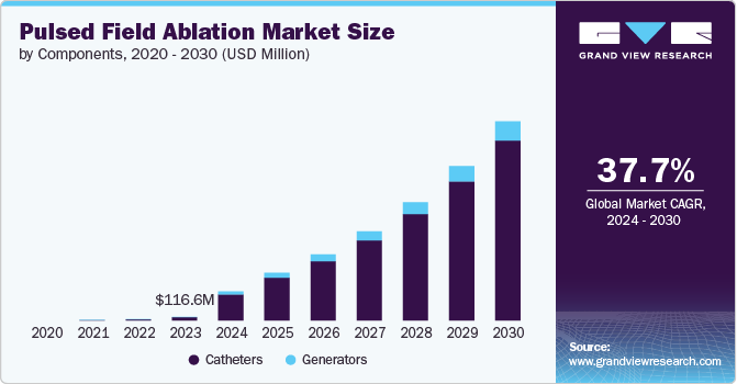 Pulsed Field Ablation Market Size, 2024 - 2030