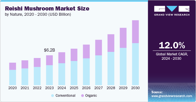 Reishi Mushroom Market size and growth rate, 2024 - 2030