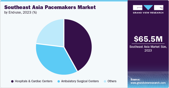 Southeast Asia Pacemakers Market Share, 2023