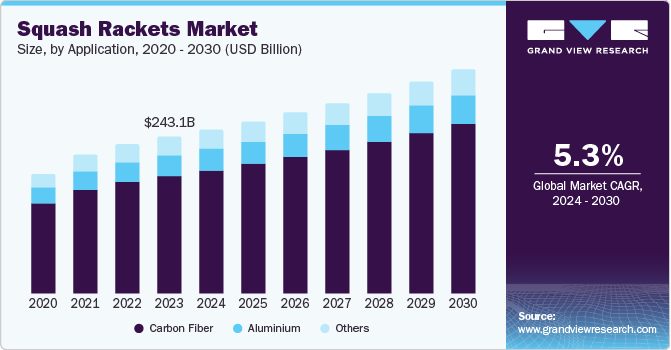 Squash Rackets Market Size, by Application, 2020 - 2030 (USD Billion)