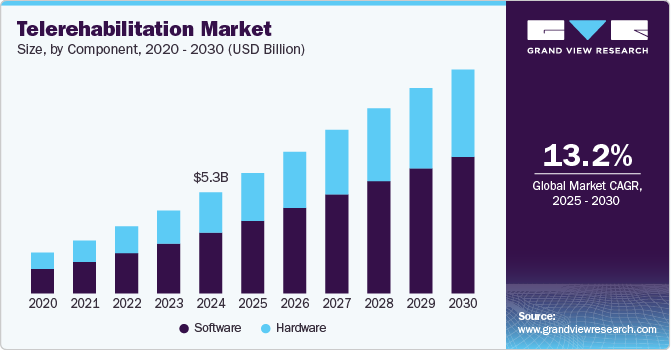 Telerehabilitation Market Size, By Component, 2020 - 2030 (USD Billion)