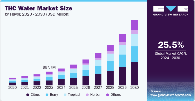 THC water Market Size, 2024 - 2030