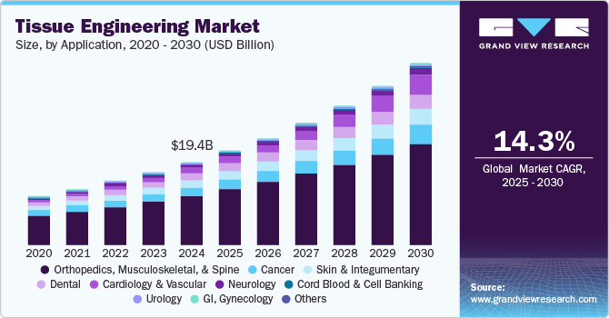 Tissue Engineering Market Size, By Application, 2020 - 2030 (USD Billion)