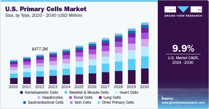 U.S. Primary Cells Market size and growth rate, 2024 - 2030