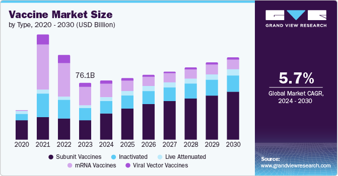 Vaccine Market size and growth rate, 2024 - 2030