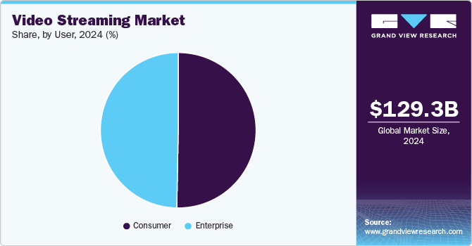 Video Streaming Market Share, by User, 2024 (%) Video Streaming Market Share, by User, 2024 (%)